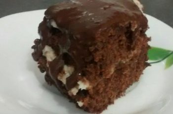 Minha Dieta Anticâncer – Bolo Vegano de chocolate com coco ( sem ovos, sem trigo, sem leite)