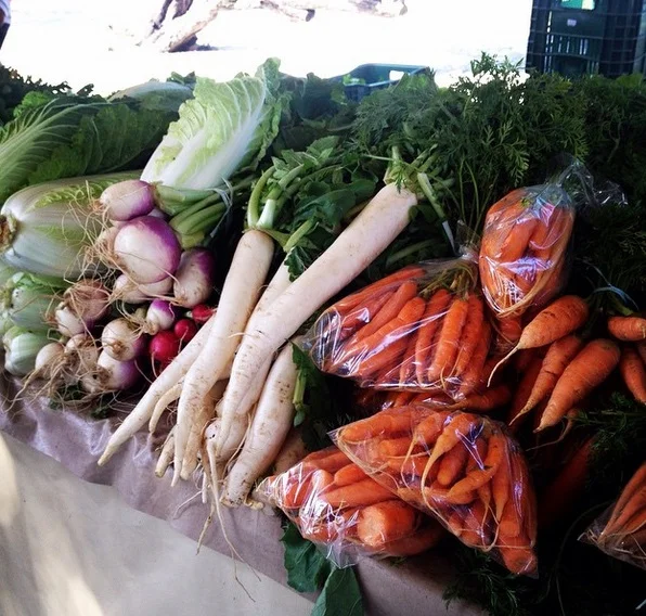 verduras e legumes para alimentação anticâncer