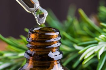 Oncologia integrativa: Descubra os benefícios dos tratamentos alternativos ao Câncer