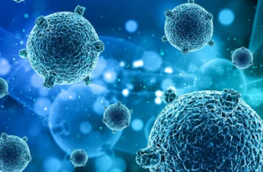 Imunoterapia: quais os tipos no tratamento para o câncer