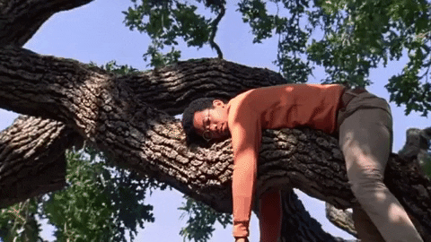  homem pendurado em árvore